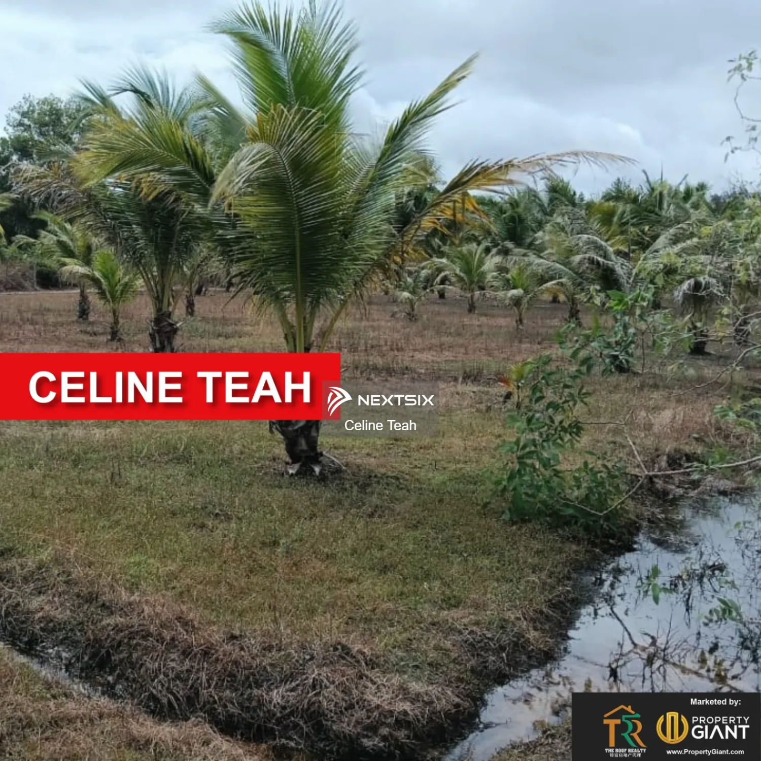 Agricultural Land For Sale in Kota Kinabalu Sabah