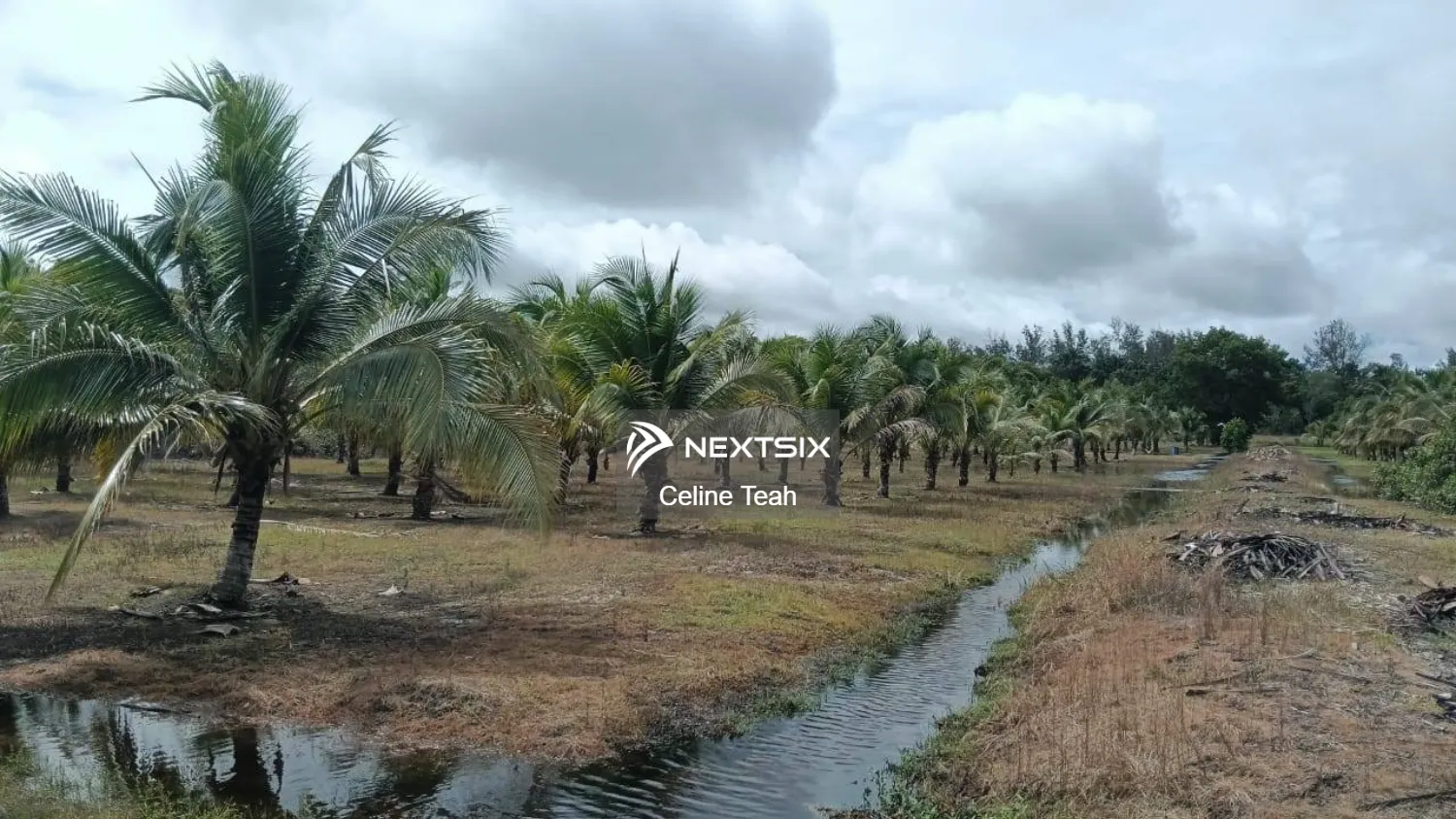 Agricultural Land For Sale in Kota Kinabalu Sabah - Image 5