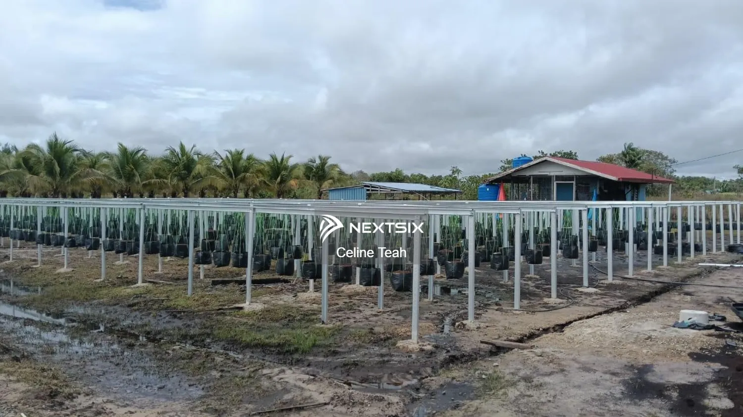 Agricultural Land For Sale in Kota Kinabalu Sabah - Image 6