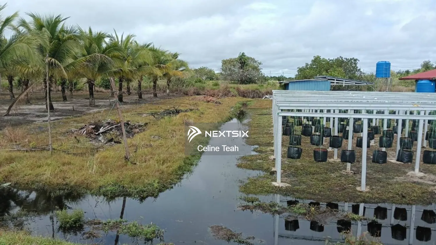 Agricultural Land For Sale in Kota Kinabalu Sabah - Image 7