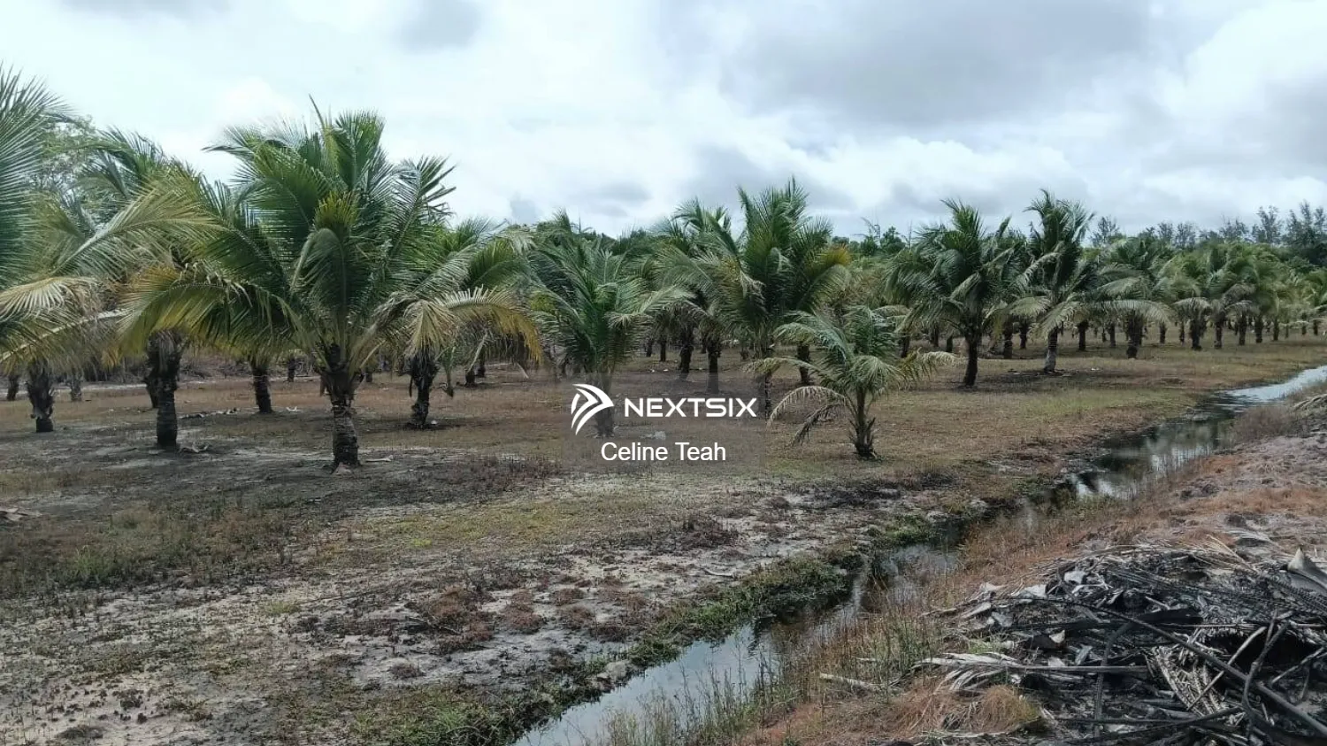 Agricultural Land For Sale in Kota Kinabalu Sabah - Image 8