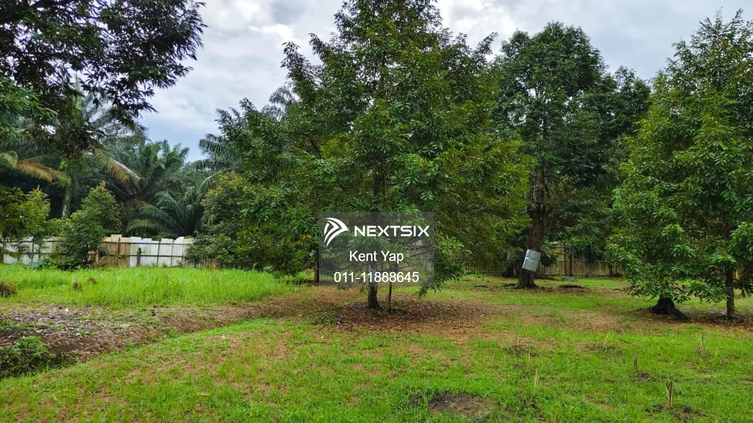 Agricultural Land For Sale in Pontian Johor