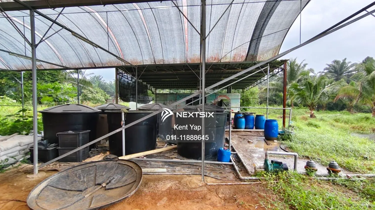 Agricultural Land For Sale in Pontian Johor - Image 5