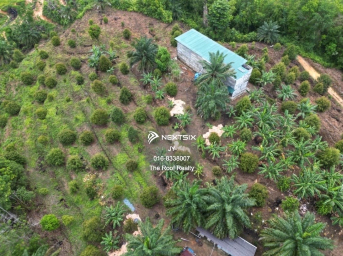 Agricultural Land For Sale in Membakut Sabah