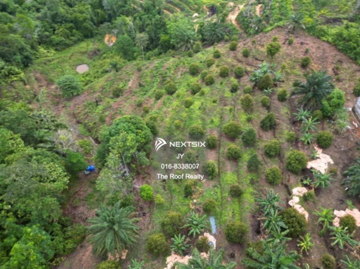 Agricultural Land For Sale in Membakut Sabah - Image 2