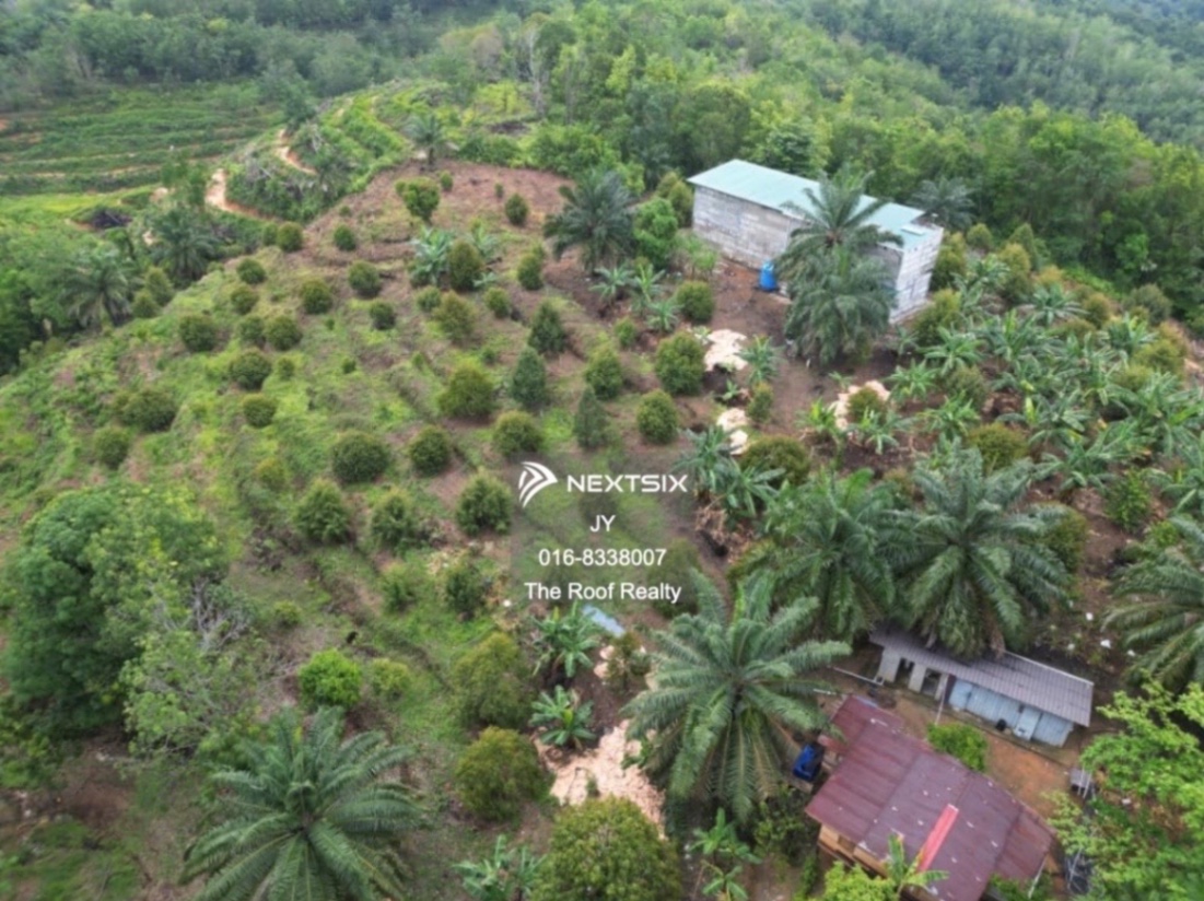 Agricultural Land For Sale in Membakut Sabah - Image 5