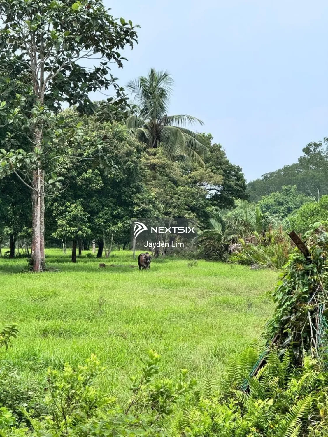 Agricultural Land For Sale in Pontian Johor - Image 11