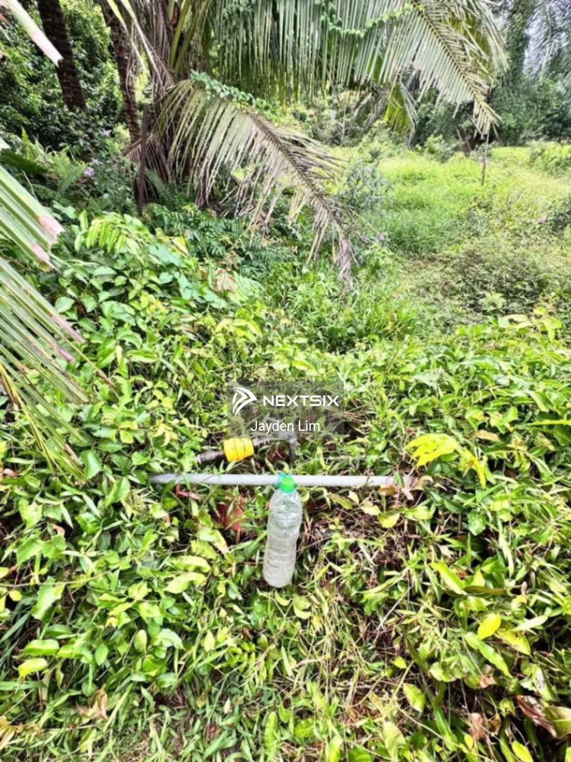 Agricultural Land For Sale in Pontian Johor - Image 5