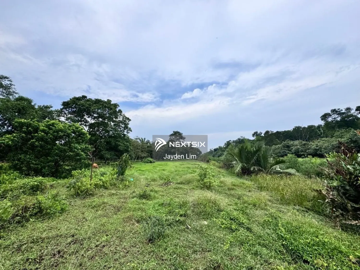 Agricultural Land For Sale in Pontian Johor - Image 7
