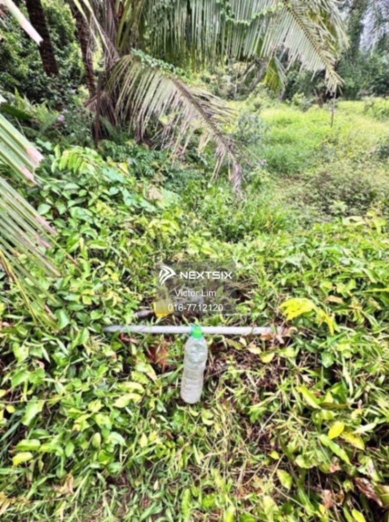 Agricultural Land For Sale in Pontian Johor - Image 3