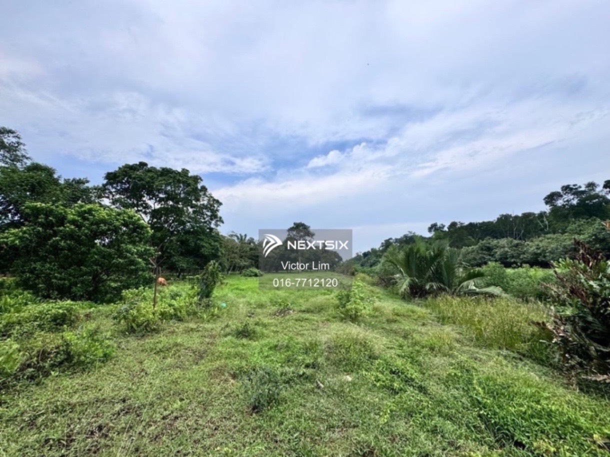 Agricultural Land For Sale in Pontian Johor - Image 5