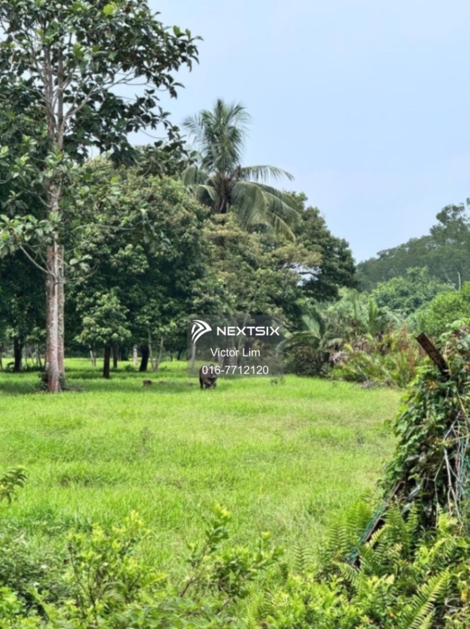 Agricultural Land For Sale in Pontian Johor - Image 6