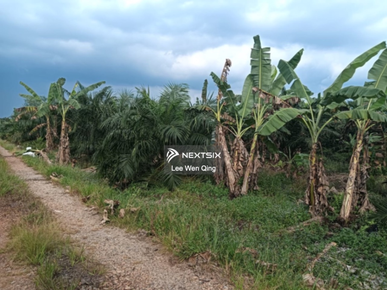 Agricultural Land For Sale in Pontian Johor