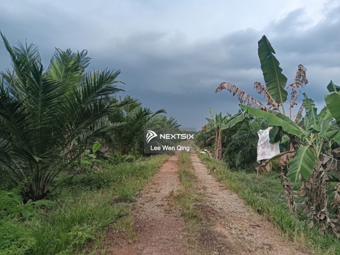 Agricultural Land For Sale in Pontian Johor - Image 5
