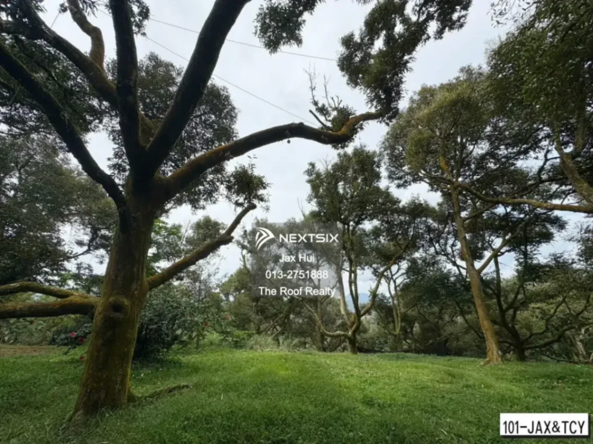 Agricultural Land For Sale in Raub Pahang - Image 10