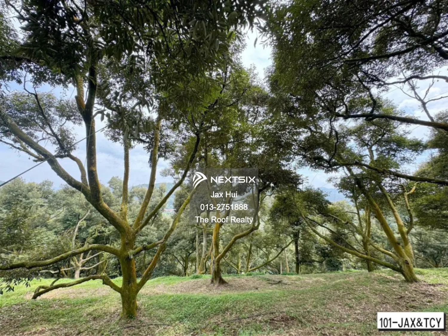 Agricultural Land For Sale in Raub Pahang - Image 6