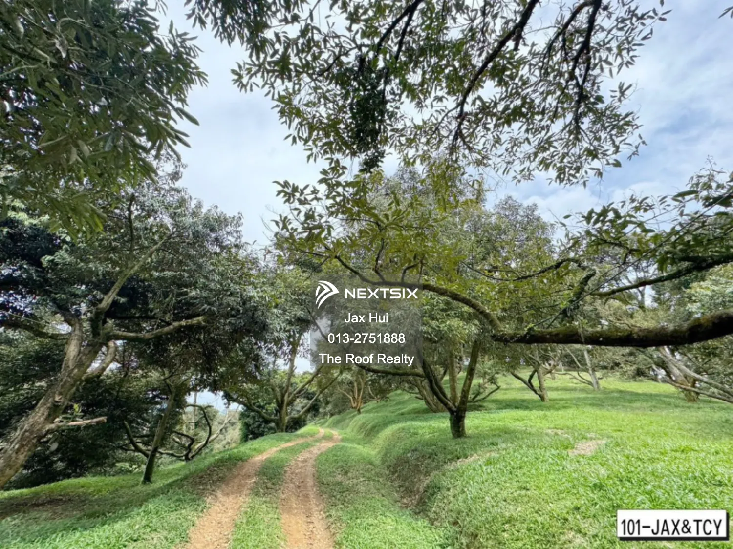 Agricultural Land For Sale in Raub Pahang - Image 7